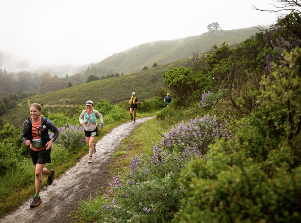 Runners on the trail in a rainstorm